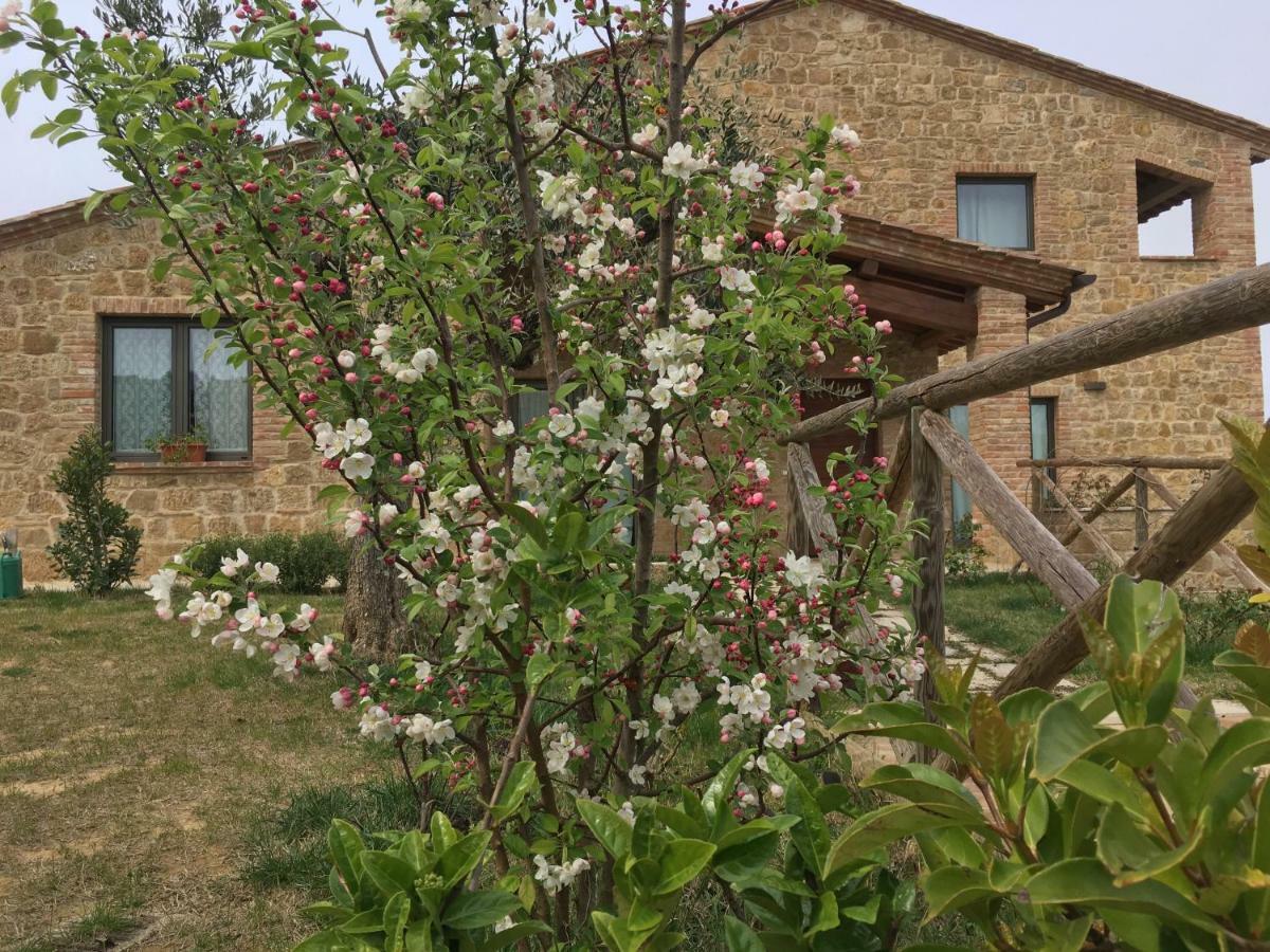 Montepulciano Stazione Residenza Al Poggio Degli Uliviヴィラ エクステリア 写真
